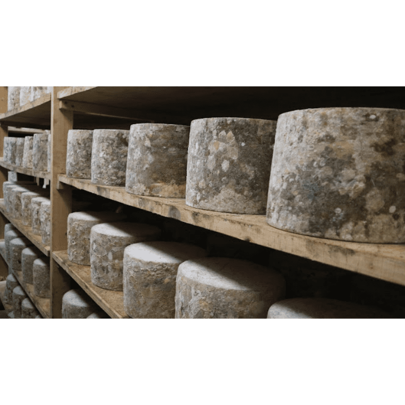 Hafod Cheddar - thewelshproducestall